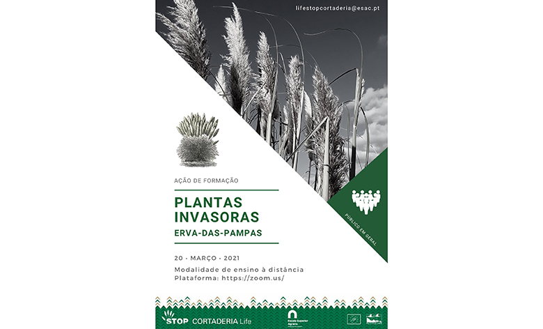 LIFE STOP Cortaderia: plantas invasoras, aprender para proteger!