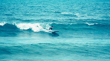 Show de longboard, surf e skimboard no "Waves for All"